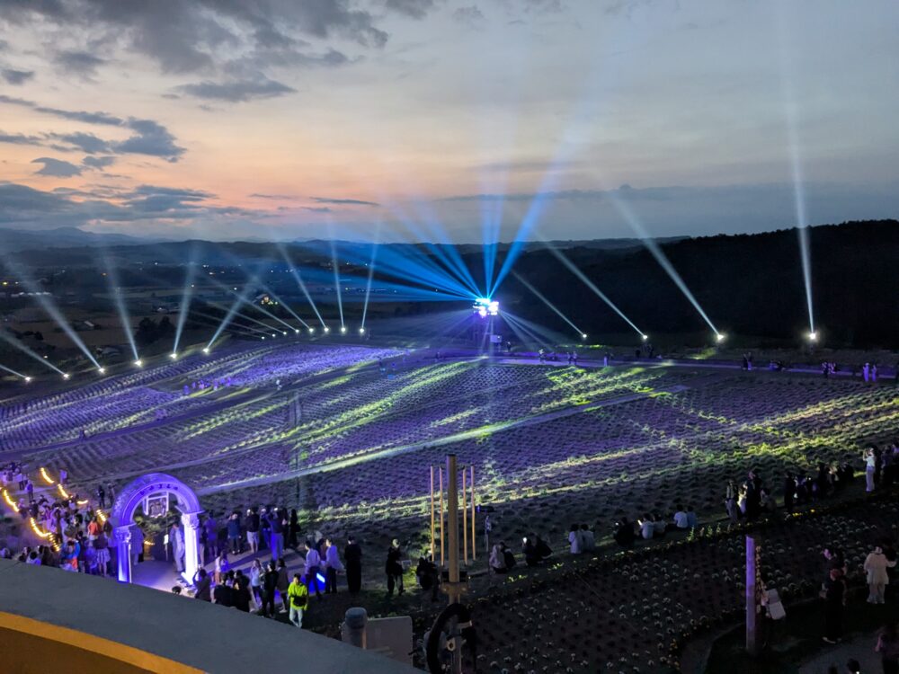 日の出公園の展望台から見下ろす夜のラベンダーライトアップ（2026年7月6日撮影）