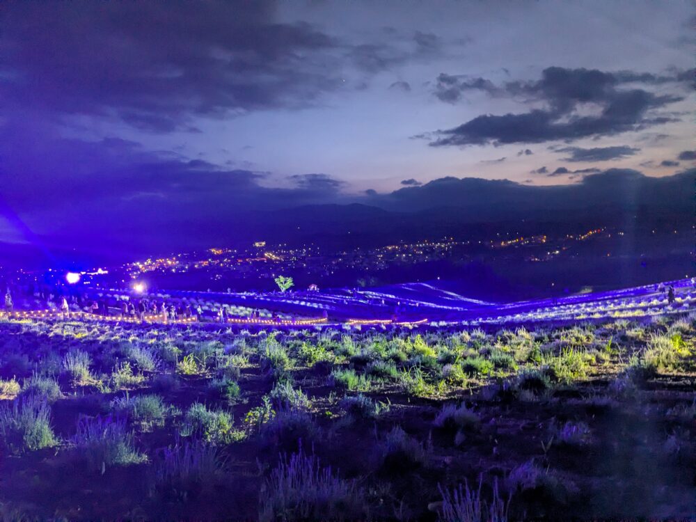 ラベンダーフェスタかみふらの 日の出公園のライトアップ（2026年7月6日撮影）