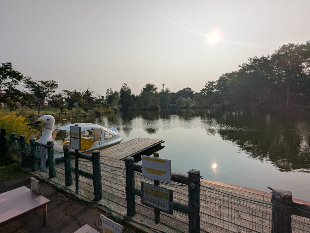 島津公園の池に浮かぶ白鳥型のスワンボート